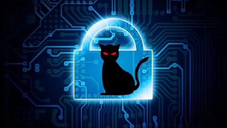 BlackCat / ALPHV: Innovation, Betrayal, and the Collapse of a Ransomware Empire